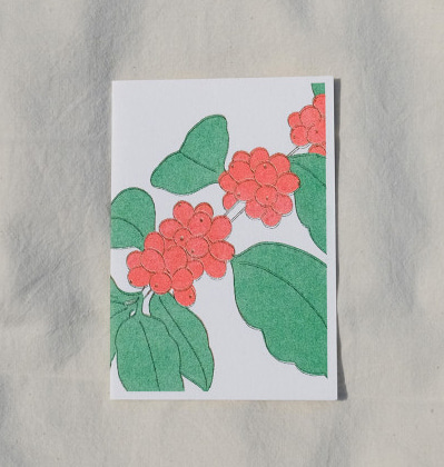 키미앤일이 커피열매 리소프린팅 카드 KIMIAND12 Coffee Berry Risoprinting Card